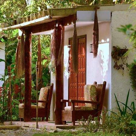 Casa A Beira Do Rio Jaguareguava Na Mata Atlantica Em Bertioga Sp 빌라 외부 사진