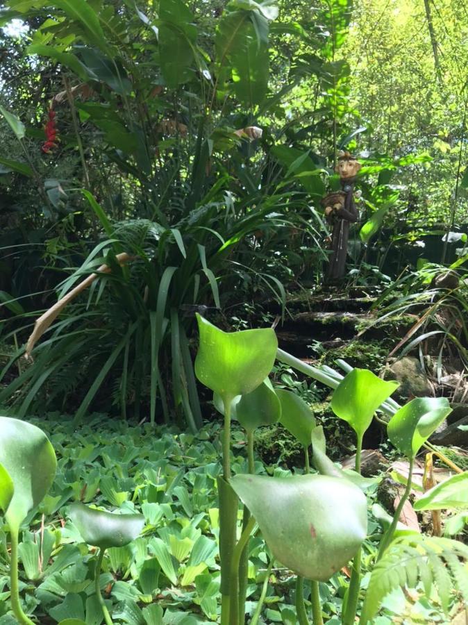 Casa A Beira Do Rio Jaguareguava Na Mata Atlantica Em Bertioga Sp 빌라 외부 사진