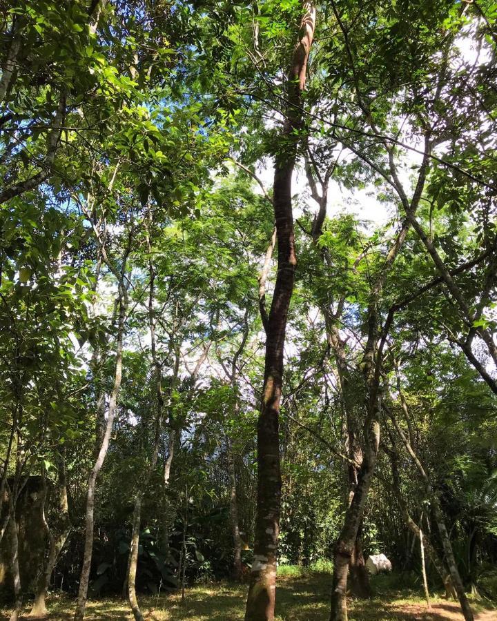 Casa A Beira Do Rio Jaguareguava Na Mata Atlantica Em Bertioga Sp 빌라 외부 사진