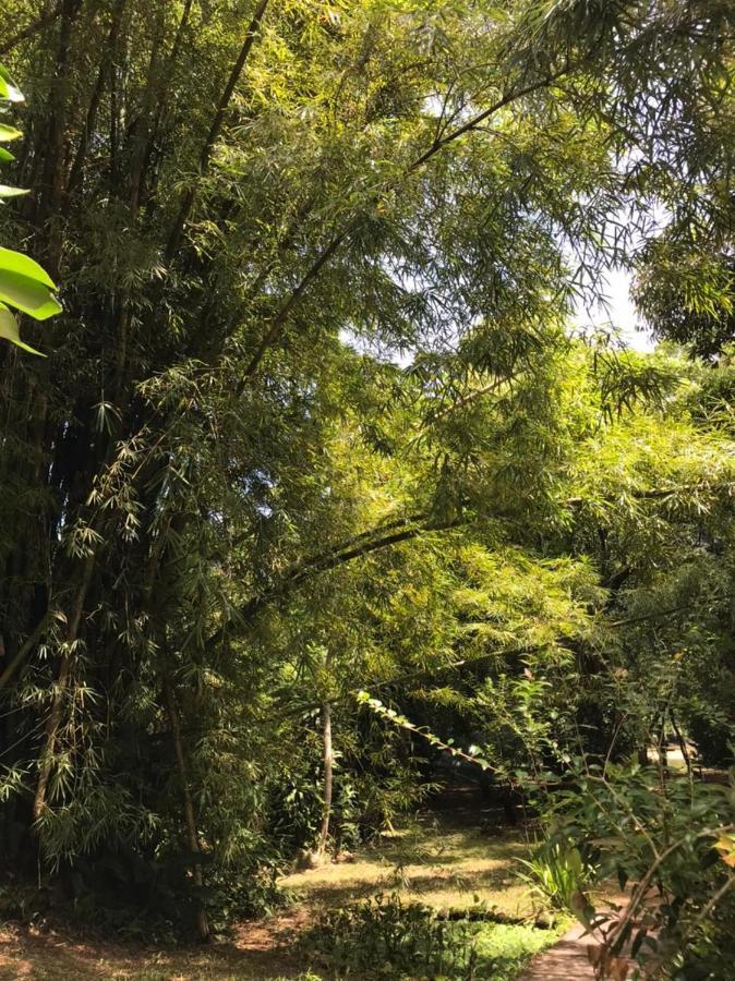 Casa A Beira Do Rio Jaguareguava Na Mata Atlantica Em Bertioga Sp 빌라 외부 사진