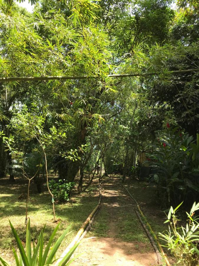 Casa A Beira Do Rio Jaguareguava Na Mata Atlantica Em Bertioga Sp 빌라 외부 사진