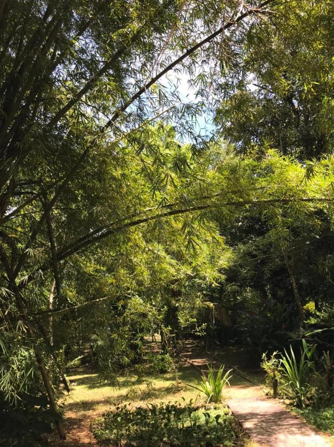 Casa A Beira Do Rio Jaguareguava Na Mata Atlantica Em Bertioga Sp 빌라 외부 사진